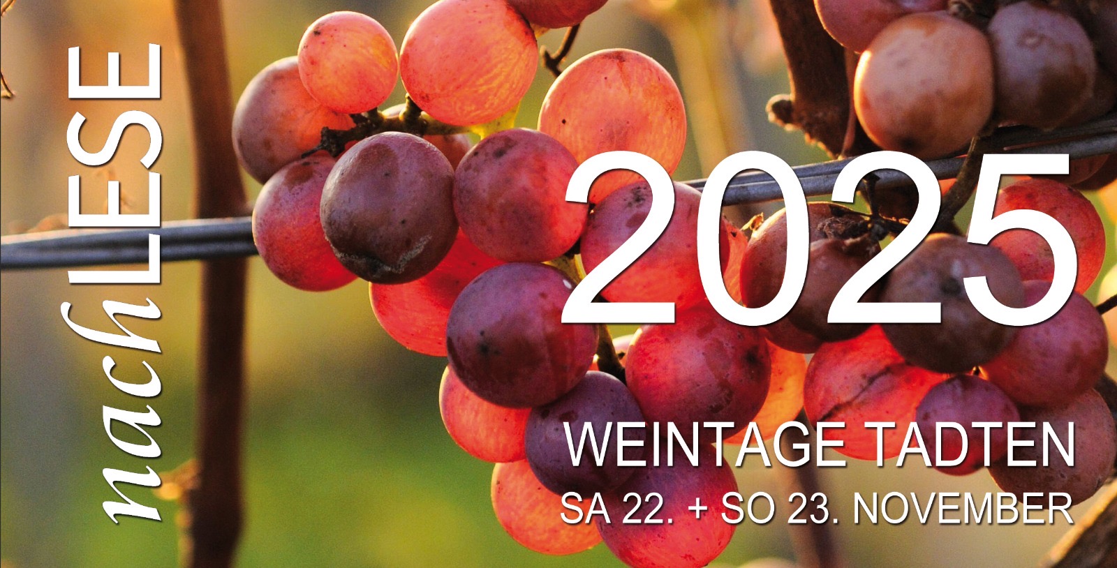 Weintage 2025 Messe Tulln 2024